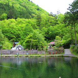 小菅トラウトガーデン 釣果