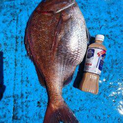 龍神丸（福井） 釣果