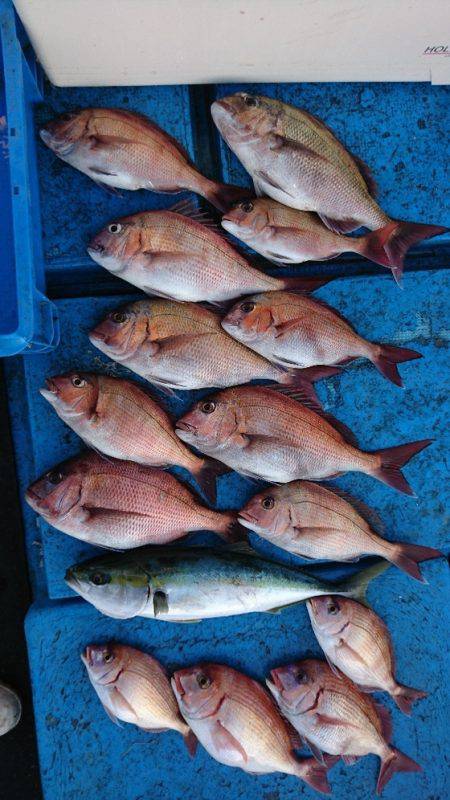 龍神丸（福井） 釣果