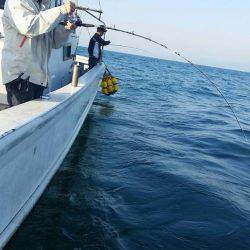 第五慶門丸 釣果