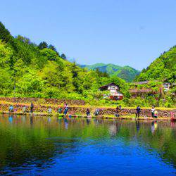 小菅トラウトガーデン 釣果