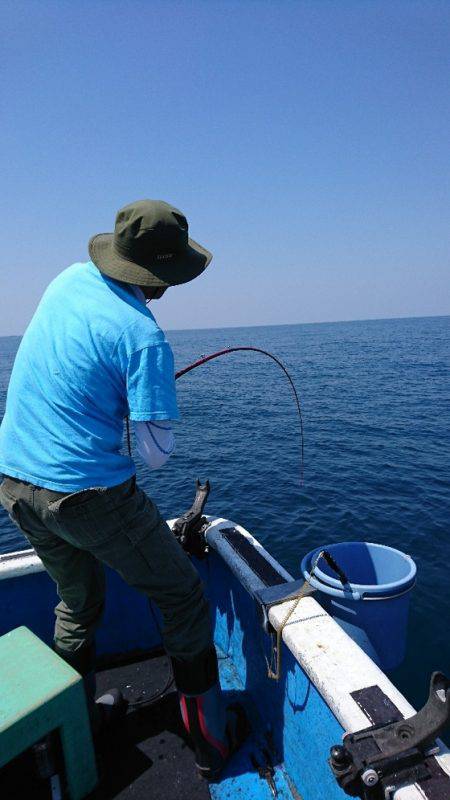 龍神丸（福井） 釣果