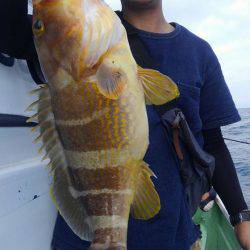 遊漁船 新鋭丸 釣果