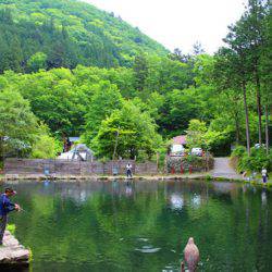 小菅トラウトガーデン 釣果