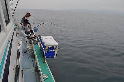 八海丸 釣果
