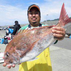 大進丸(新潟) 釣果