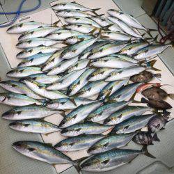 ふじしめ丸 釣果