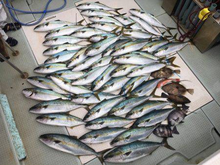 ふじしめ丸 釣果