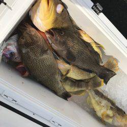 寿裕 （YOSHIHIRO） 釣果