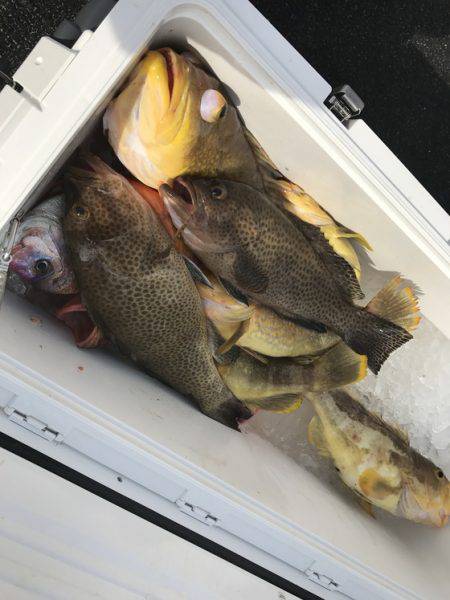 寿裕 （YOSHIHIRO） 釣果