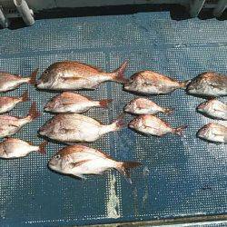 フィッシングガイド りょう 釣果