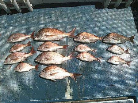 フィッシングガイド りょう 釣果