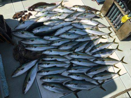 ふじしめ丸 釣果