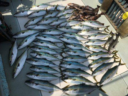 ふじしめ丸 釣果