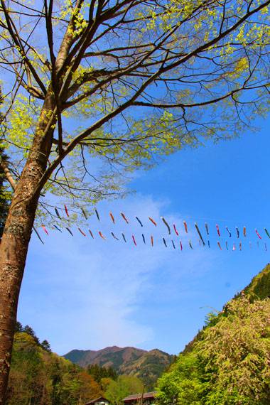 小菅トラウトガーデン 釣果