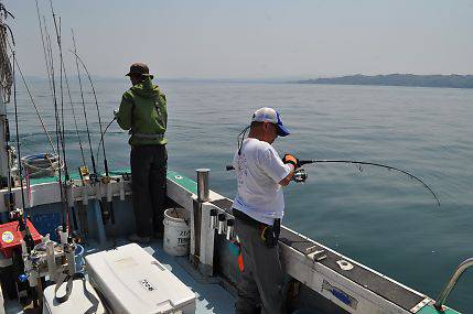 八海丸 釣果
