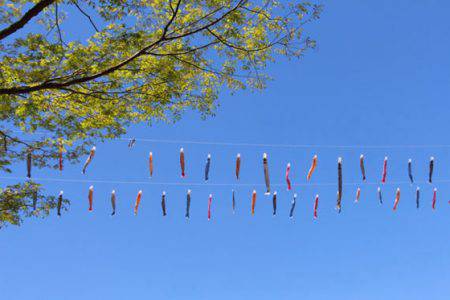 小菅トラウトガーデン 釣果