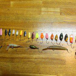 小菅トラウトガーデン 釣果