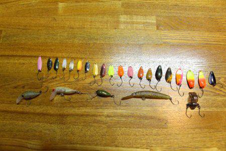 小菅トラウトガーデン 釣果