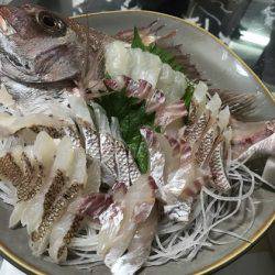 寿裕 （YOSHIHIRO） 釣果