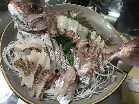 寿裕 （YOSHIHIRO） 釣果