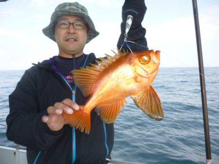 真祐丸 (しんゆうまる) 釣果