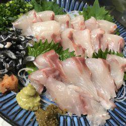 寿裕 （YOSHIHIRO） 釣果