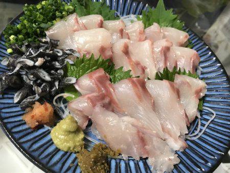 寿裕 （YOSHIHIRO） 釣果