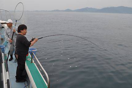 八海丸 釣果