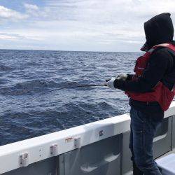 BlueOcean（ブルーオーシャン） 釣果