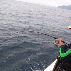 BlueNote Fishing Taxi 釣果