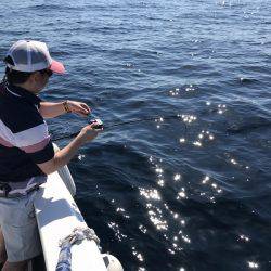 BlueOcean(ブルーオーシャン) 釣果