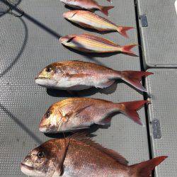 BlueOcean(ブルーオーシャン) 釣果