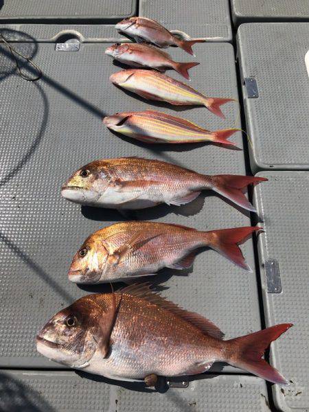 BlueOcean（ブルーオーシャン） 釣…