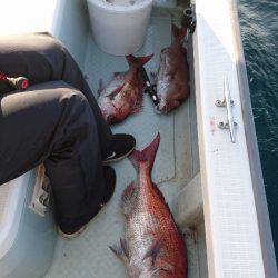 遊漁船ブルーウッズ 釣果