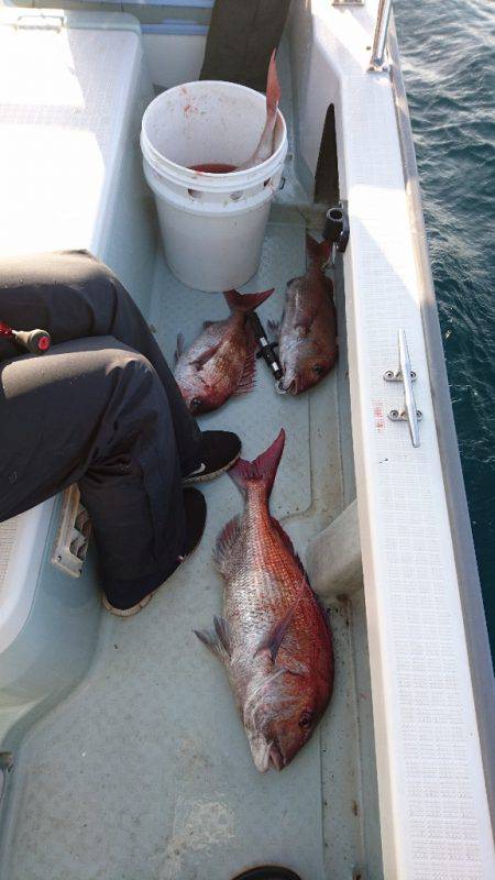 遊漁船ブルーウッズ 釣果