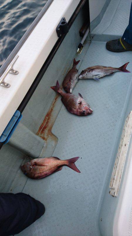 遊漁船ブルーウッズ 釣果