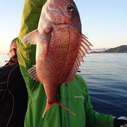 遊漁船ブルーウッズ 釣果