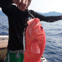 香織丸 釣果