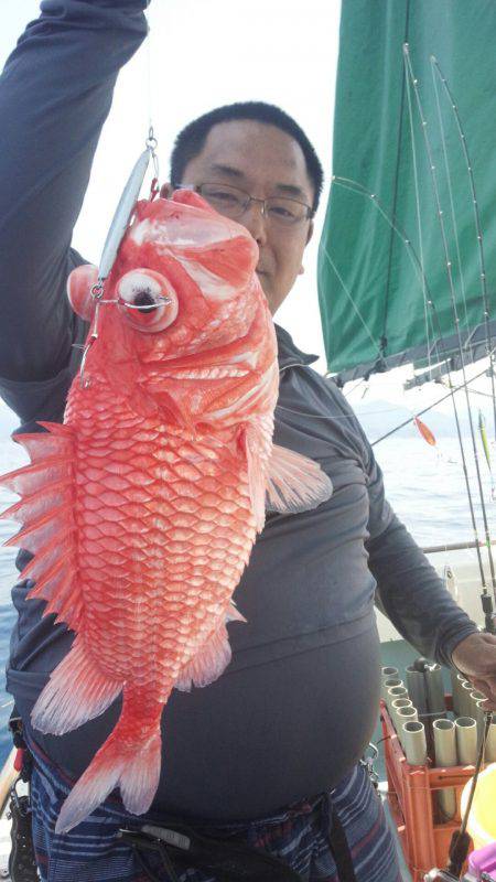 香織丸 釣果
