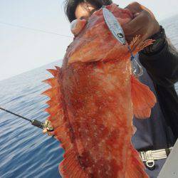 香織丸 釣果