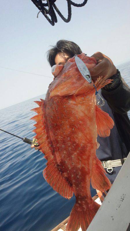 香織丸 釣果