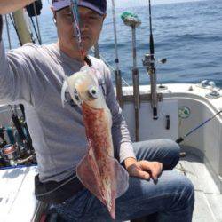 シーモンキー 釣果