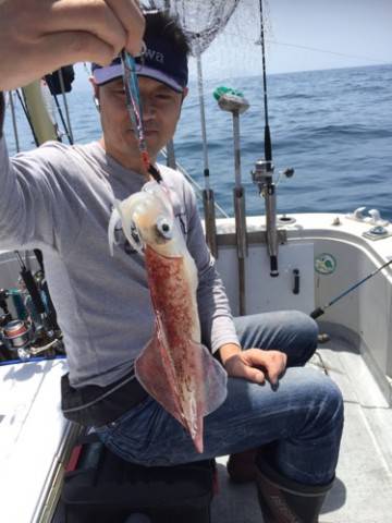 シーモンキー 釣果