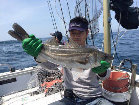 シーモンキー 釣果