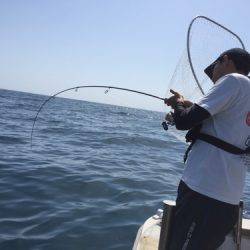 シーモンキー 釣果