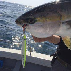 シーモンキー 釣果