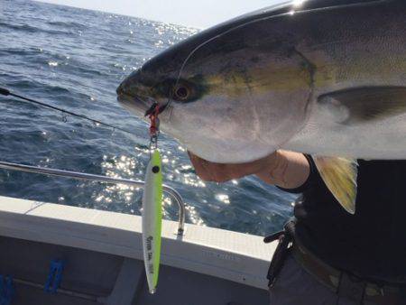 シーモンキー 釣果