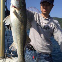 シーモンキー 釣果