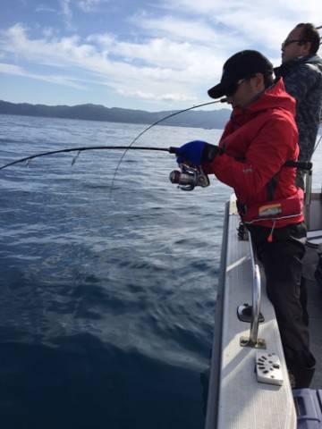 シーモンキー 釣果